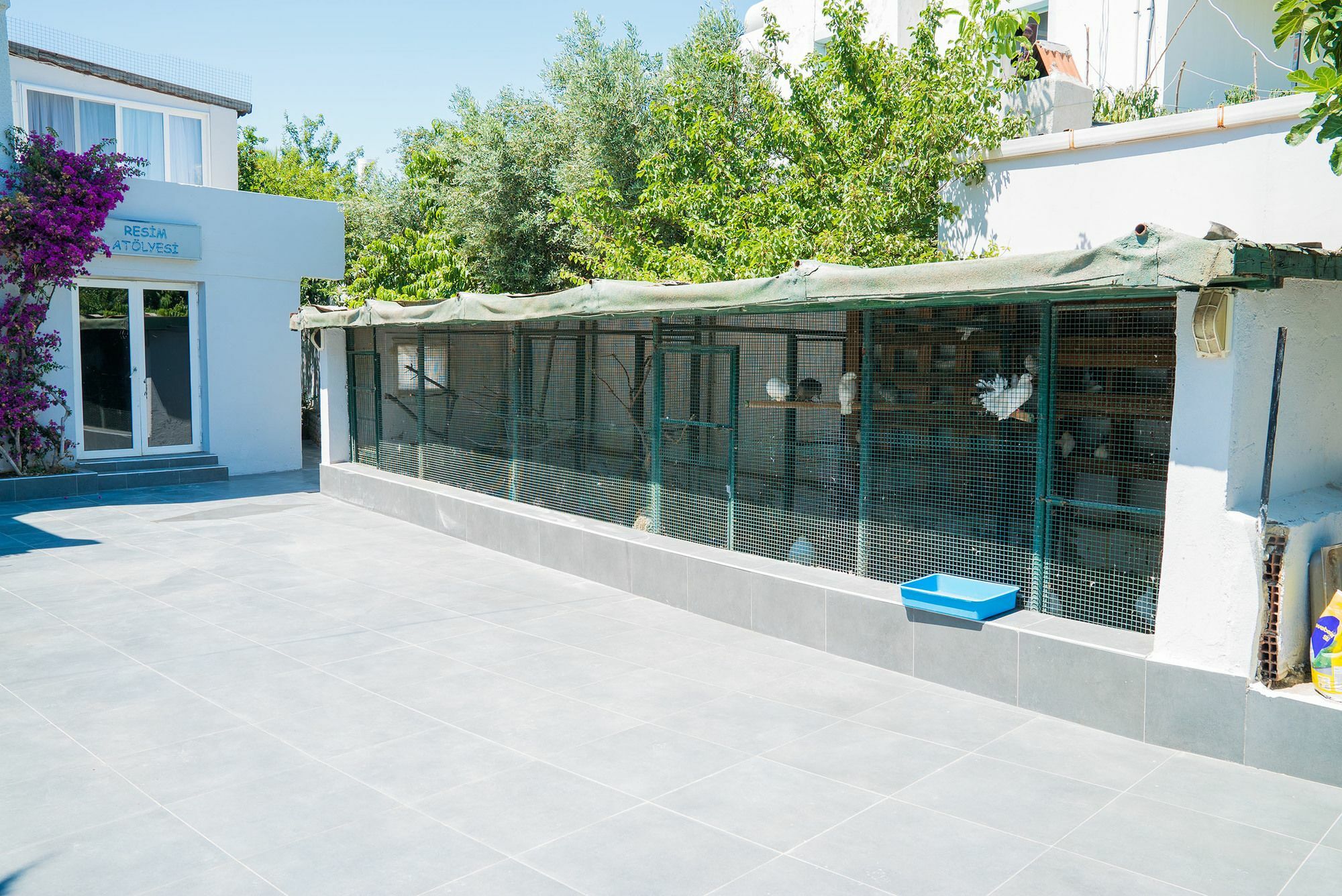Art Suites Hotel Yalikavak Ngoại thất bức ảnh